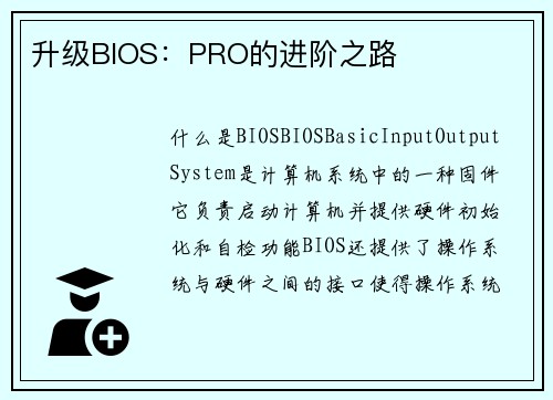 升级BIOS：PRO的进阶之路